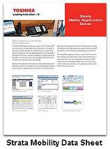 Strata Media Application Server Data Sheet